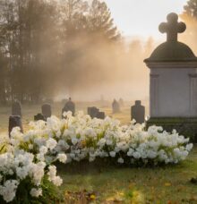 Kyrkogård - Gravskötsel och gravvård